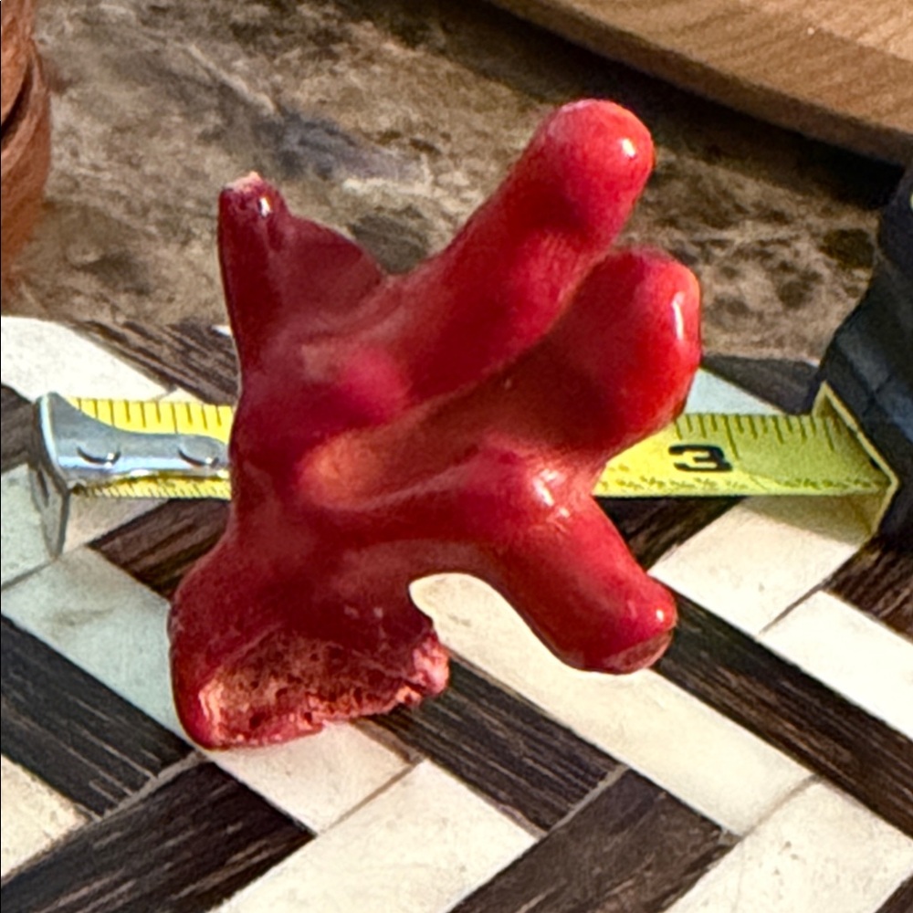 Red Coral Branch Accent for jewelry project
